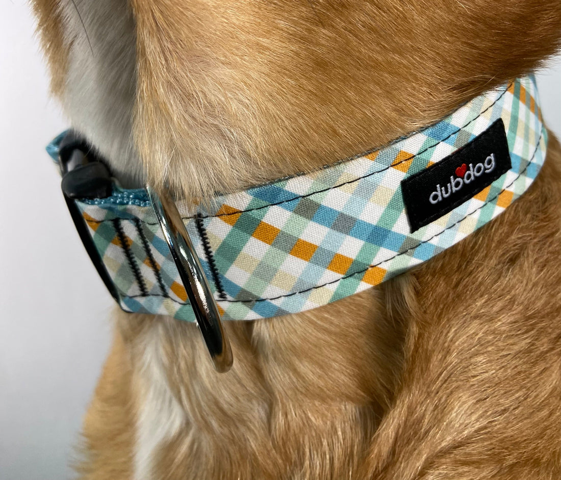 How to Choose the Right Dog Collar for Your Pup