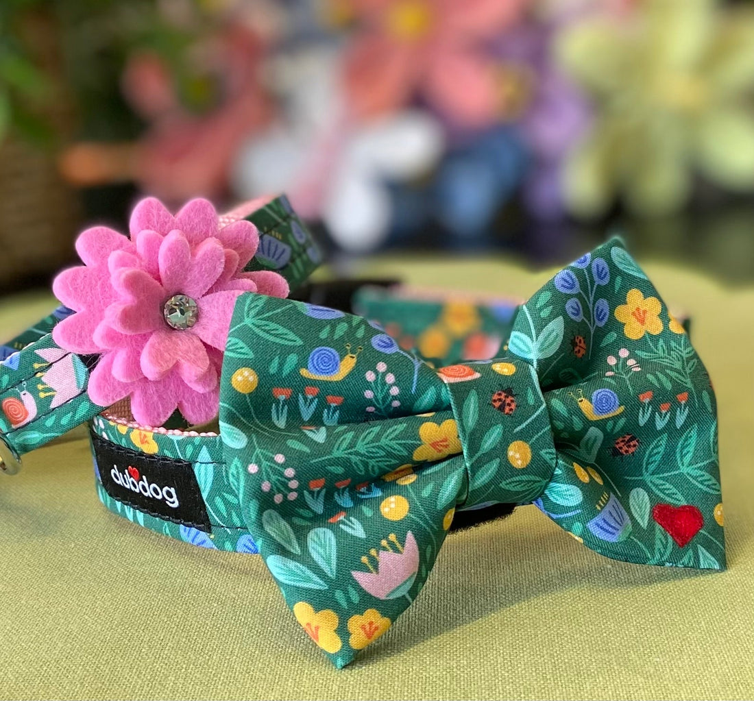 Why We Handcraft Our Dog Accessories