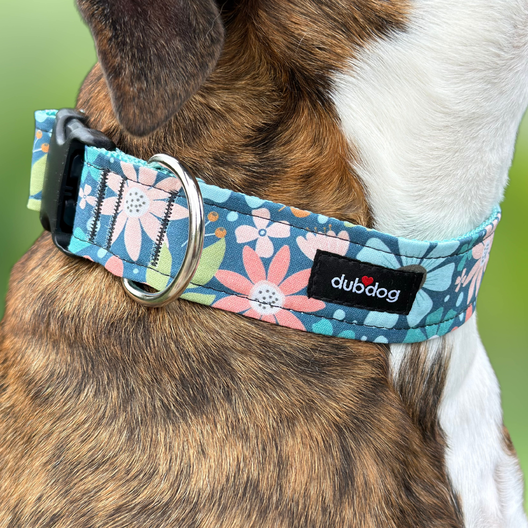 Collars