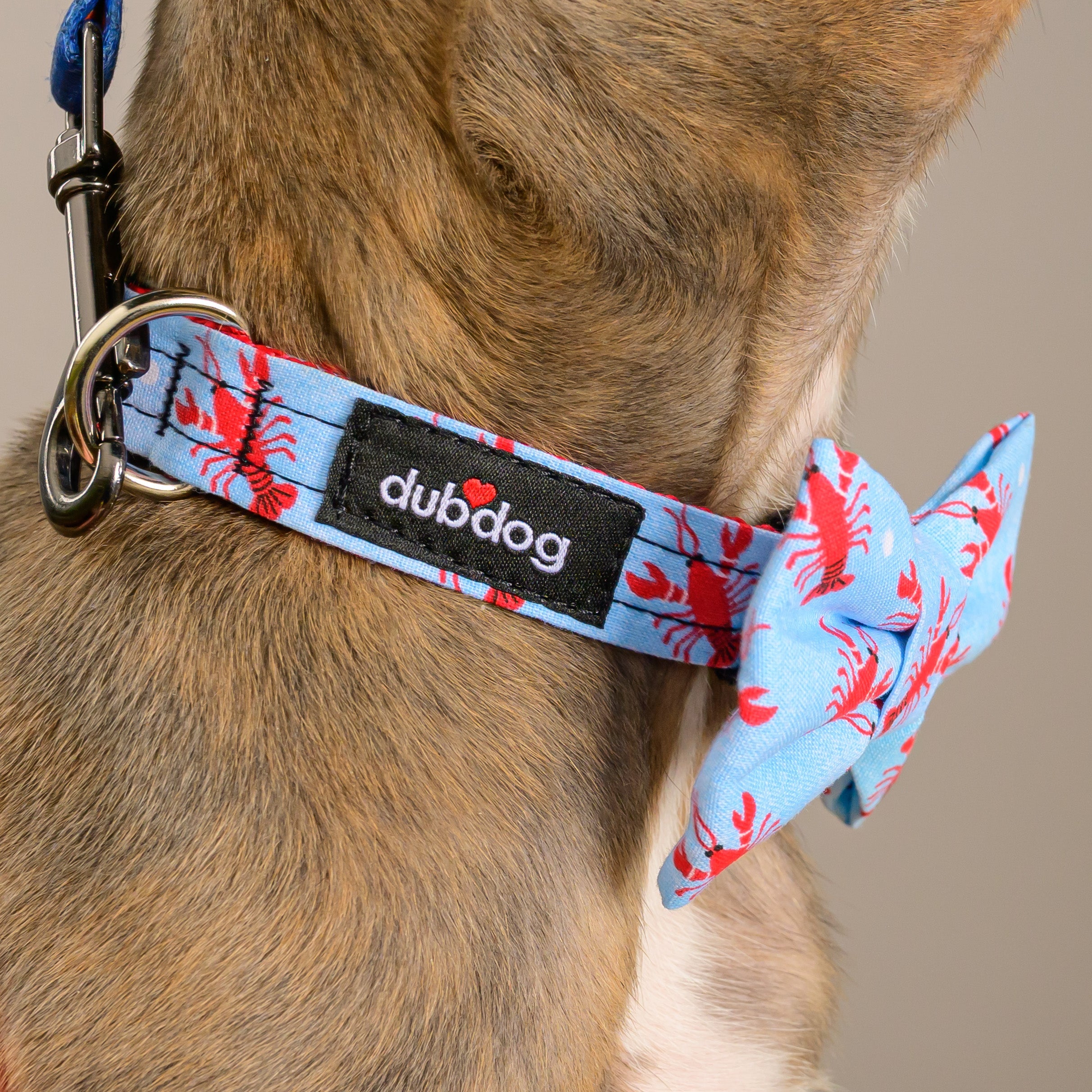 Bow Tie