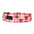 Strawberry Picnic Collar