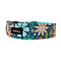 Mitzi Collar