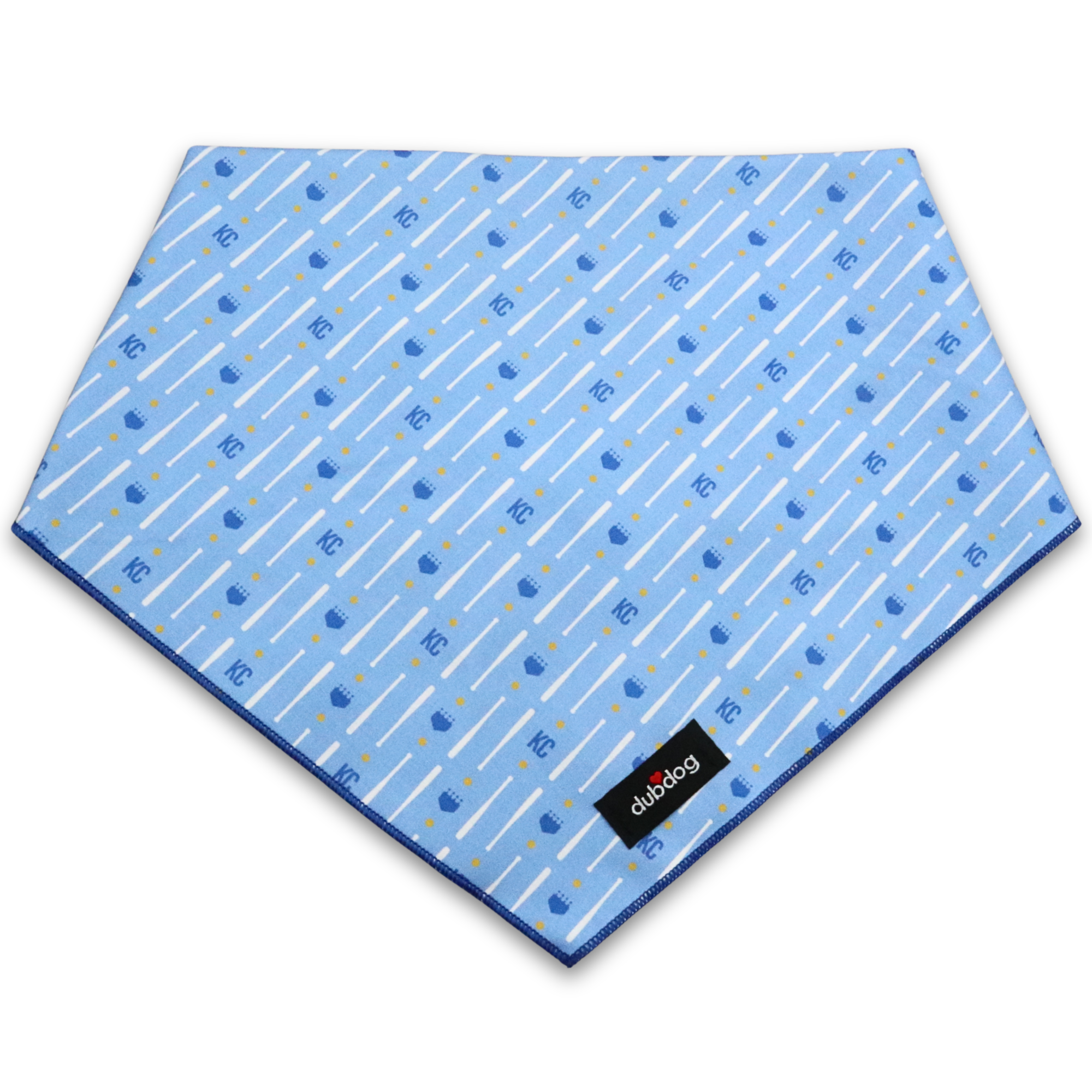 Boys in Blue Bandana