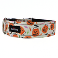 Candy Haul Collar