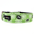 Gomez Collar