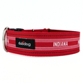 Indiana Collar