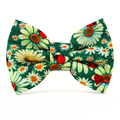Lady Bow Tie