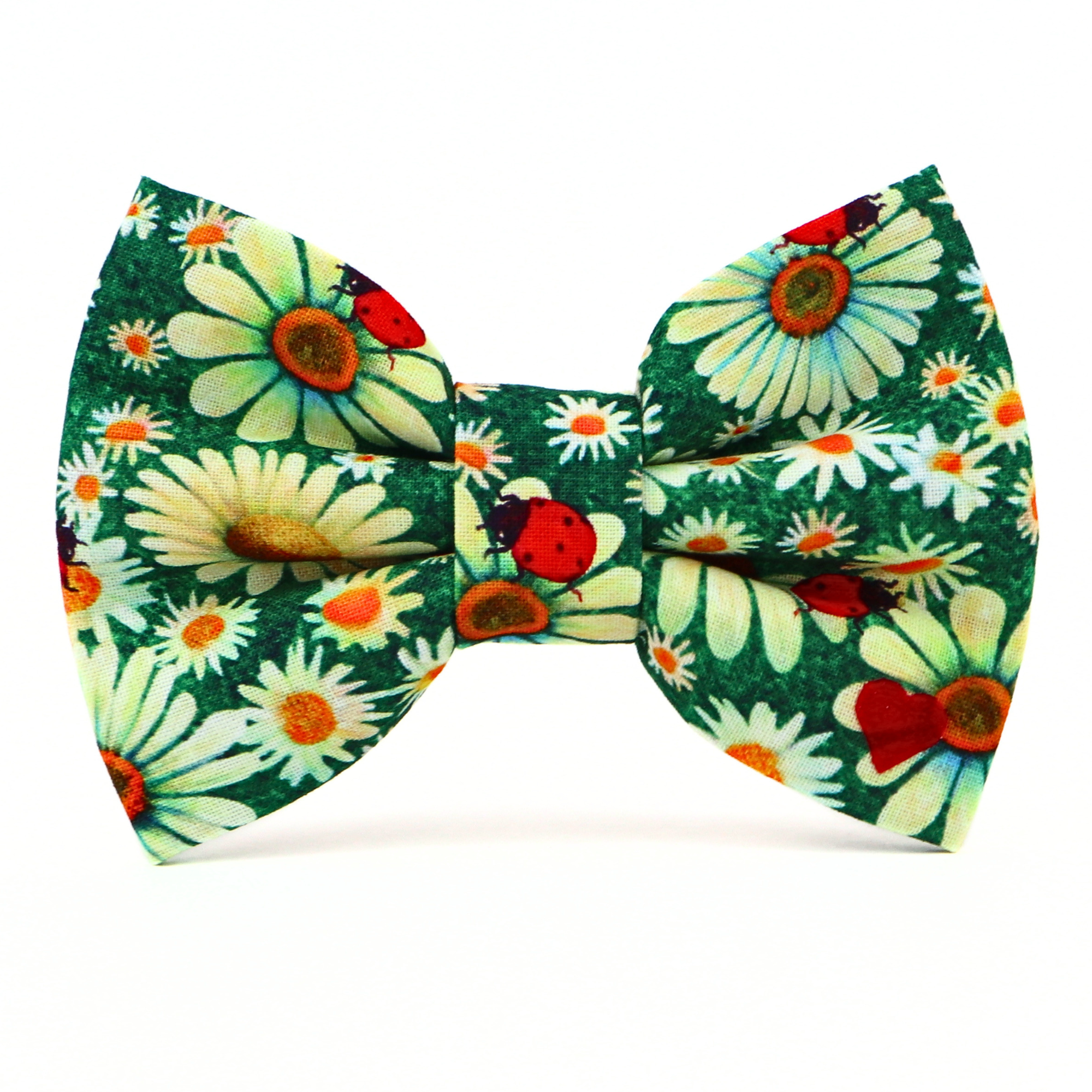 Lady Bow Tie