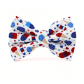 Liberty Licks Bow Tie