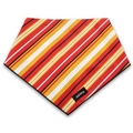 Red Friday Bandana