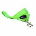 Simply Lime Leash