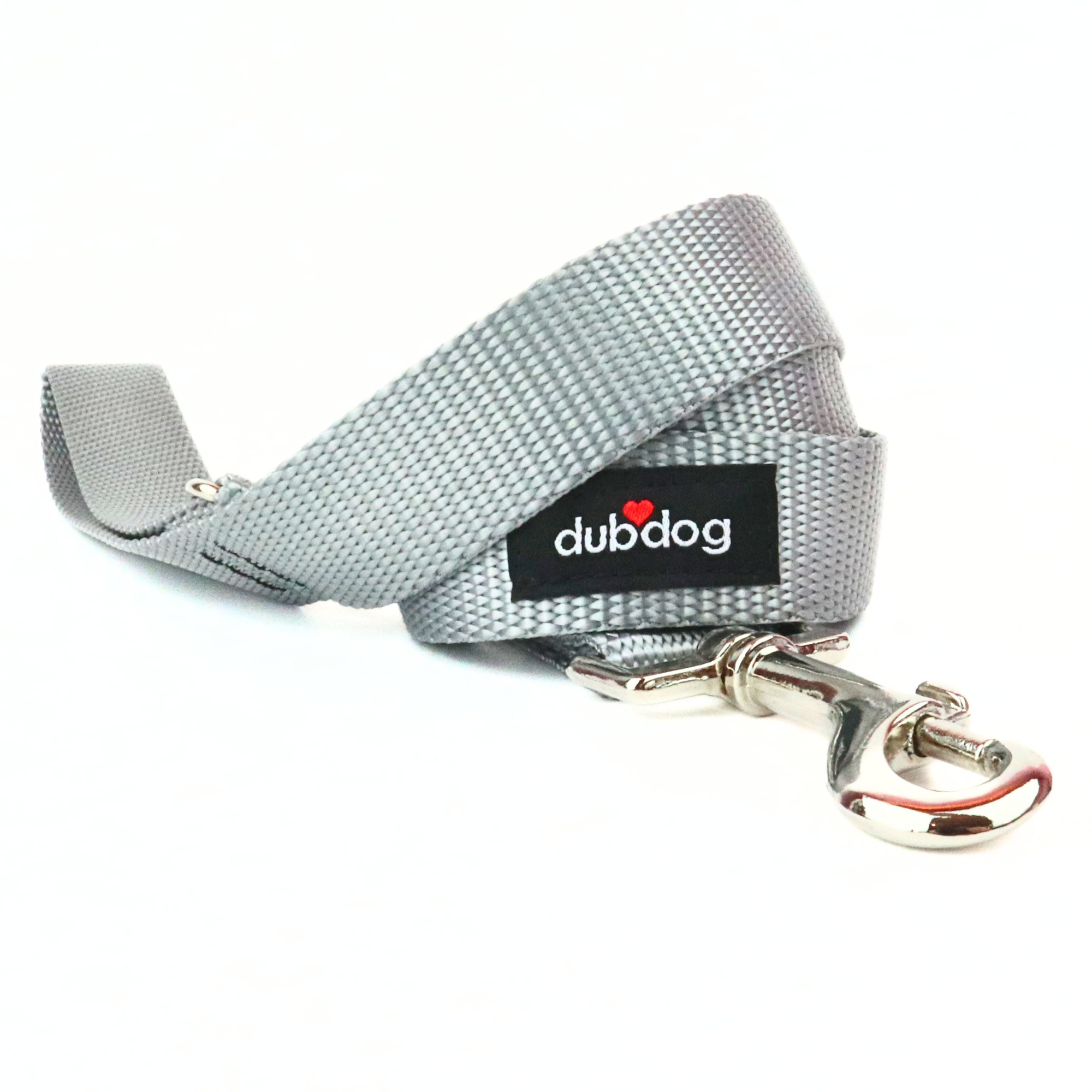 Simply Silver Leash