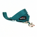 Simply Teal Leash