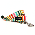 Sunny leash
