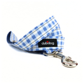 Blue Check Leash