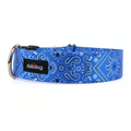 Blue dana collar