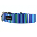 Blue stripe collar