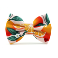 Clementine Bow Tie
