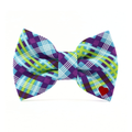 Cyrus Bowtie
