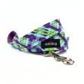Cyrus Leash