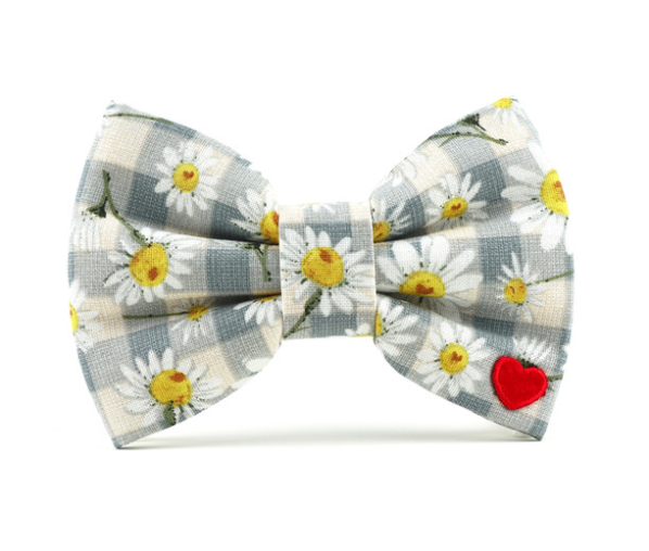 Daisy Mae Bow Tie