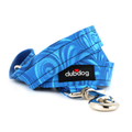 Dash Leash