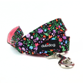 Fiona Leash