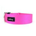 Simply Fuchsia Collar