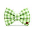 Green Check Bow Tie
