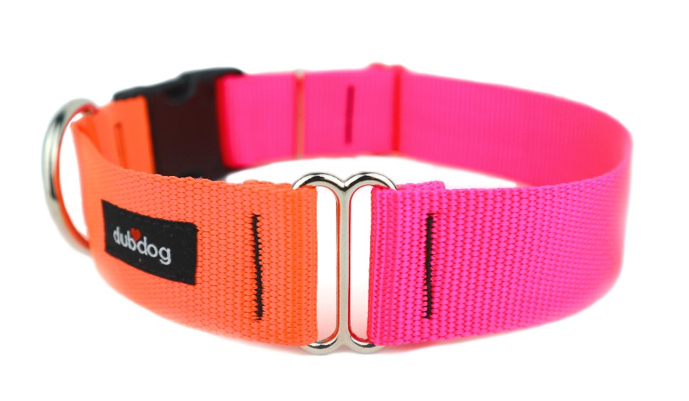 Hot Orange & Hot Pink DUO Collar