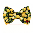 Lemons! Bow Tie