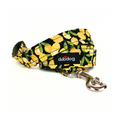 Lemons! Leash