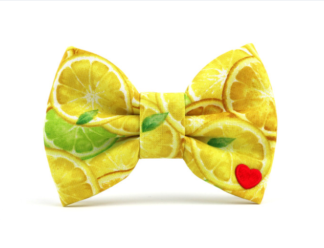 Main Squeeze Bow Tie