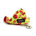 Pico Leash