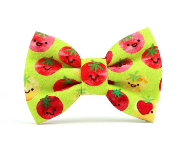 Pico Bow Tie