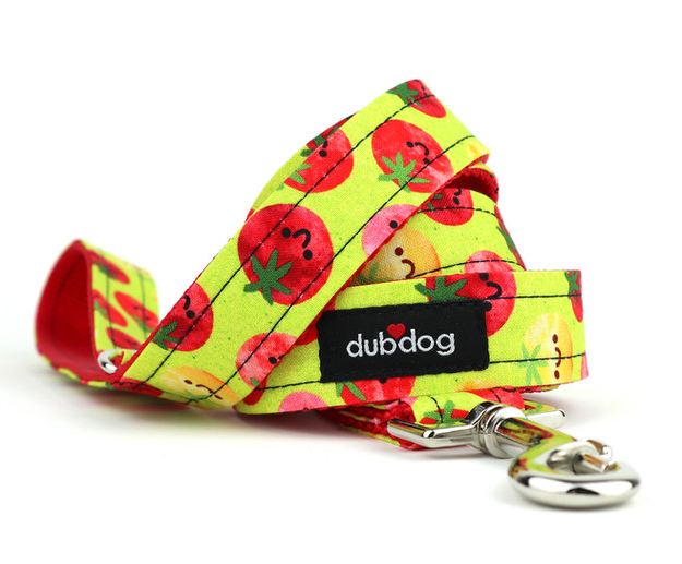 Pico Leash