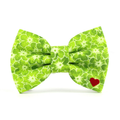 Pippa Bow Tie