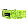 Pippa Collar