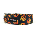 Pumpkins collar