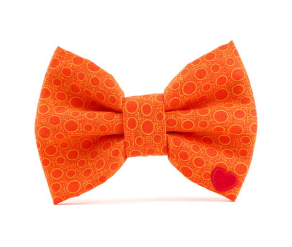 Pumpkin Bow Tie