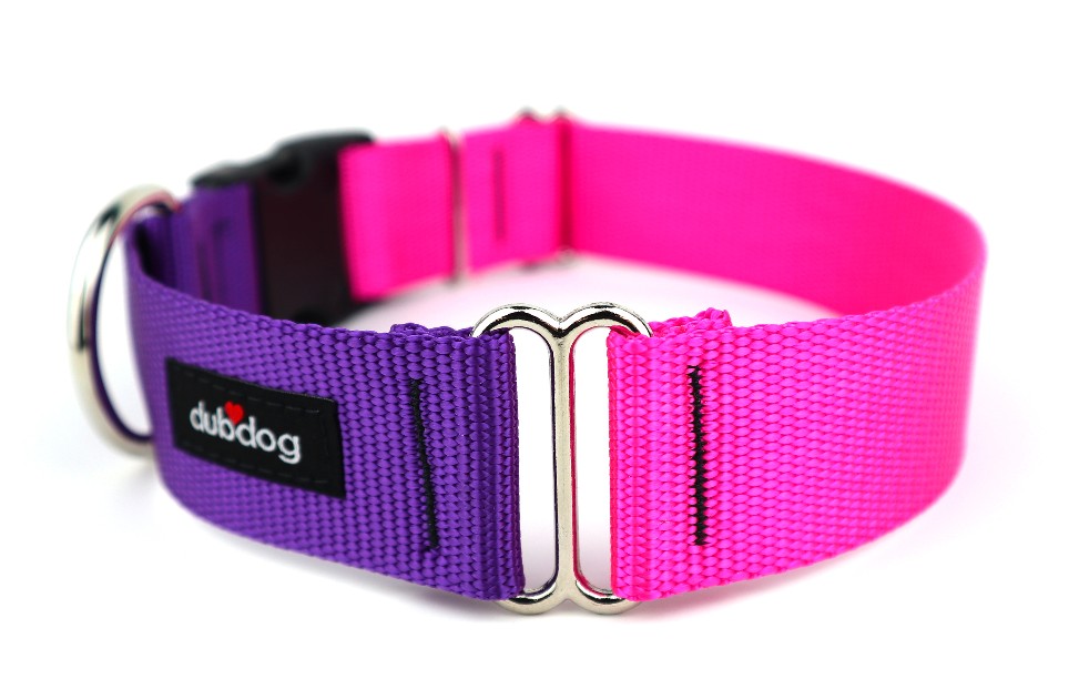 Purple & Fuchsia DUO Collar