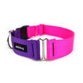 Purple & Fuchsia DUO Collar