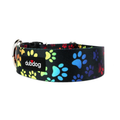 Rainbow Paws Collar