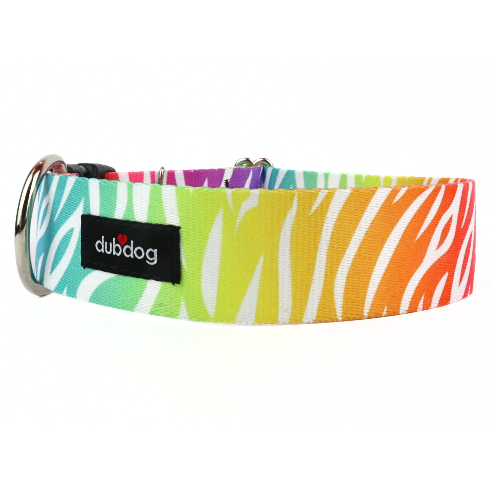 Rainbow zebra collar