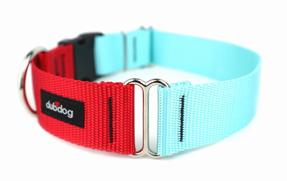 Red & Cyan DUO Collar