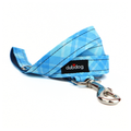 Riley Leash