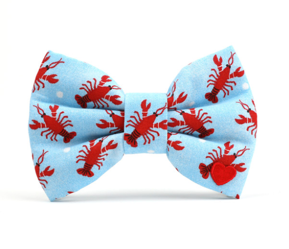 Sebastan Bow Tie