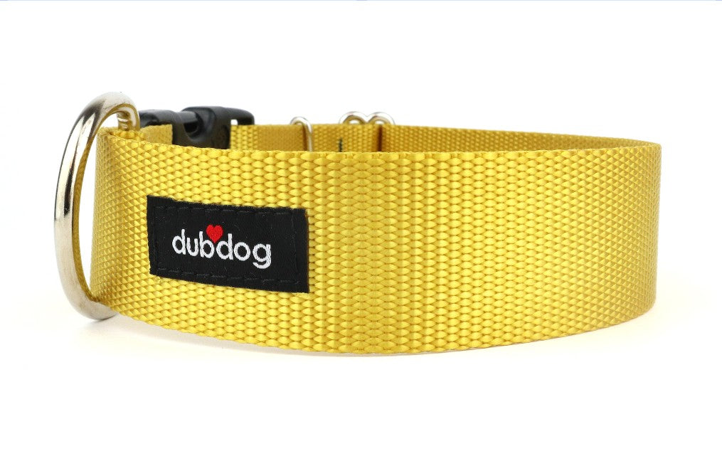 Simply Dijon Collar