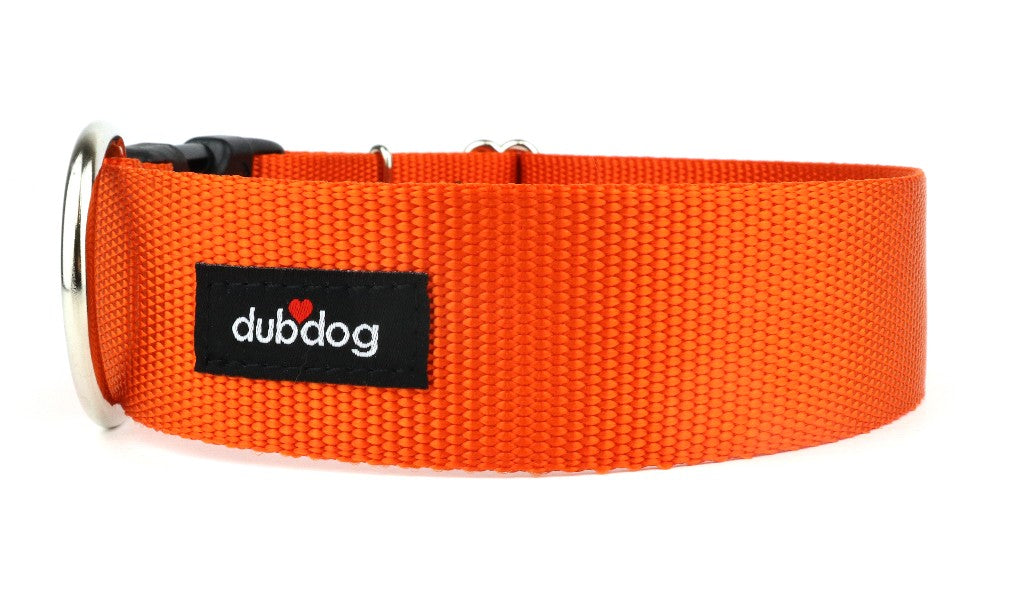 Simply Orange Collar