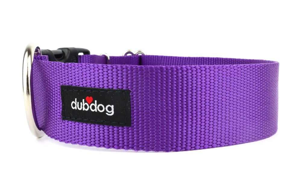 Simply Purple Collar